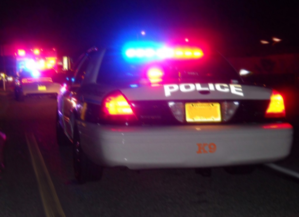 Police Multitasking Police K9's, Pursuits, and Multitasking | ThinBlueFlorida.com